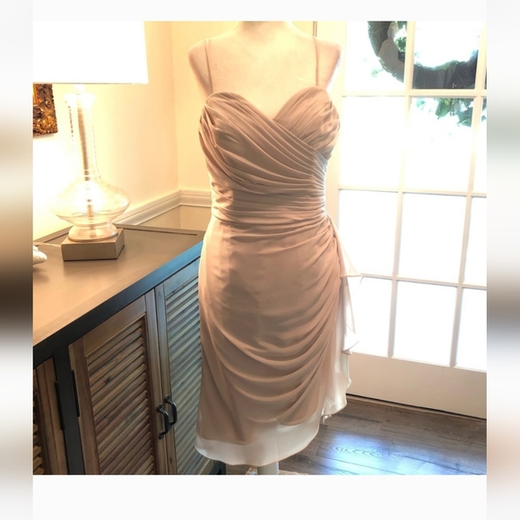 (JUST LISTED) NWT! GORGEOUS WATTERS FRENCH VANILLA CRINKLE CHIFFON DRESS - Picture 4 of 11